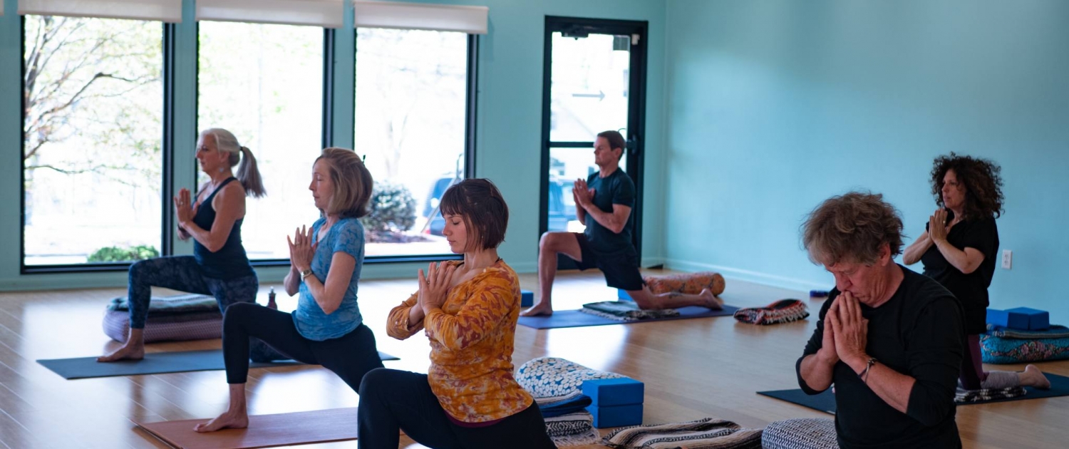 Asheville Yoga Center Yoga Classes 200 and 300 RYT Teacher Training